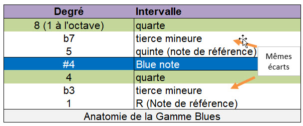 mg-gb-anatomie